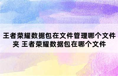 王者荣耀数据包在文件管理哪个文件夹 王者荣耀数据包在哪个文件